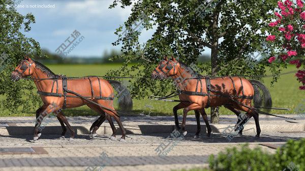 images/goods_img/20210312/3D Team of Four Breast Collar Harness Walking Pose Fur model/4.jpg
